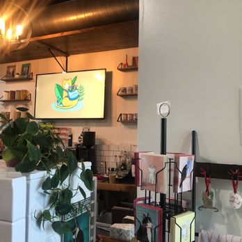 Happy Cat Cafe - Interior - Coffee & Tea Near Me - Grand Rapids, Michigan