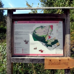 Mehlinger Heide
