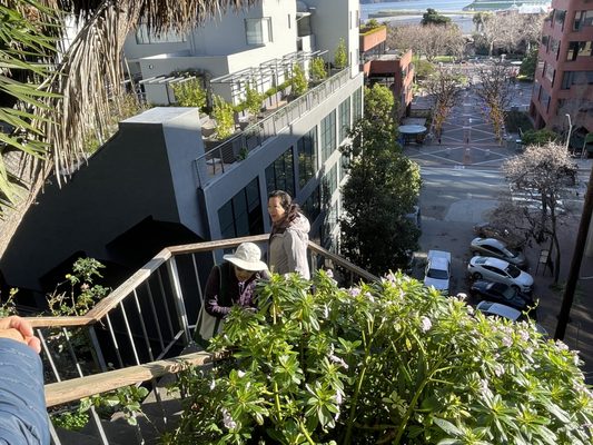 Filbert Steps by null