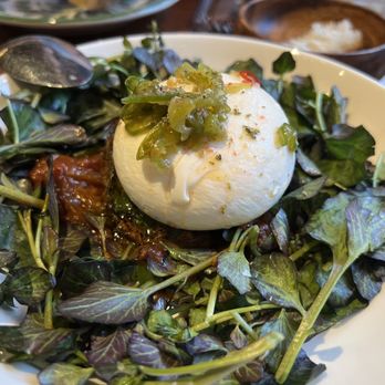 Ammazzacaffè - Burrata - Cocktail Bars Near Me - Brooklyn, New York