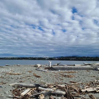 Dungeness Spit Trail - Driftwood - Hiking Near Me - Sequim, Washington