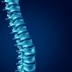 Northeast Joint and Wellness - Northeast Joint and Wellness