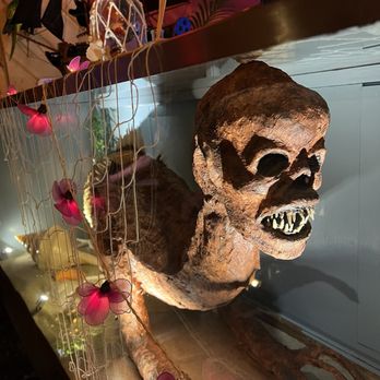 Shipwrecked Tiki Bar - Tiki Bars Near Me - Davis, California Shipwrecked Tiki Bar - Tiki Bars Near Me - Davis, California