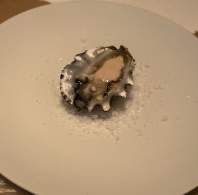 The Lonely Oyster by null