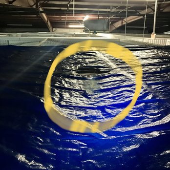 Storage King USA - Provide your own tarp at Storage King USA. The building leaks - Self Storage Near Me - Pensacola, Florida Storage King USA - Provide your own tarp at Storage King USA. The building leaks - Self Storage Near Me - Pensacola, Florida
