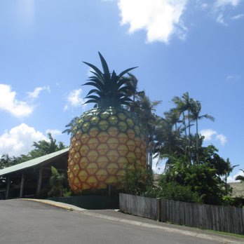 Big Pineapple - Big Pineapple - Travel Services Near Me - Woombye, QLD