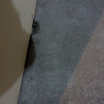 Pristine Cleaning - after cleaning - Home Cleaning Near Me Pristine Cleaning - after cleaning - Home Cleaning Near Me