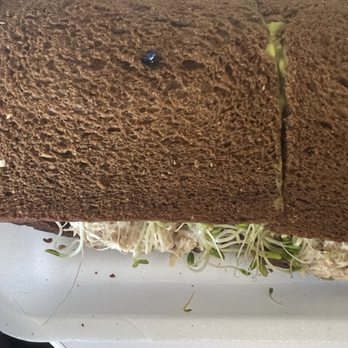 Mr Sandwich - Tuna on sqaw bread. Very good. - Sandwiches Near Me - Irvine, California