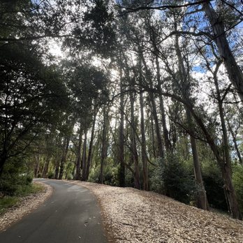 Lake Anza - Lakes Near Me - Berkeley, California