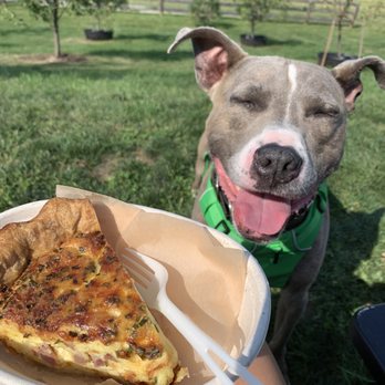 Philo Ridge Farm - Ham and cheese quiche - Farms Near Me - Charlotte, Vermont Philo Ridge Farm - Ham and cheese quiche - Farms Near Me - Charlotte, Vermont