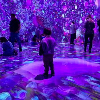 ARTECHOUSE DC - Psychedelic tripout!  "Blooming Wonders" exhibit, spring 2025 - Art Galleries Near Me - Washington, DC, District of Columbia