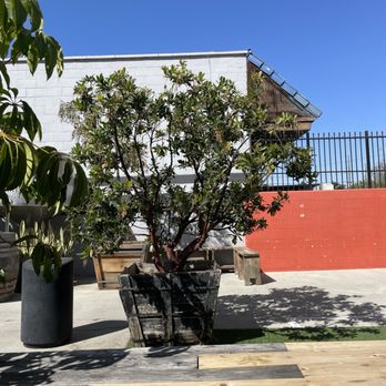Monkish Brewing - Outside seating - Breweries Near Me - Torrance, California