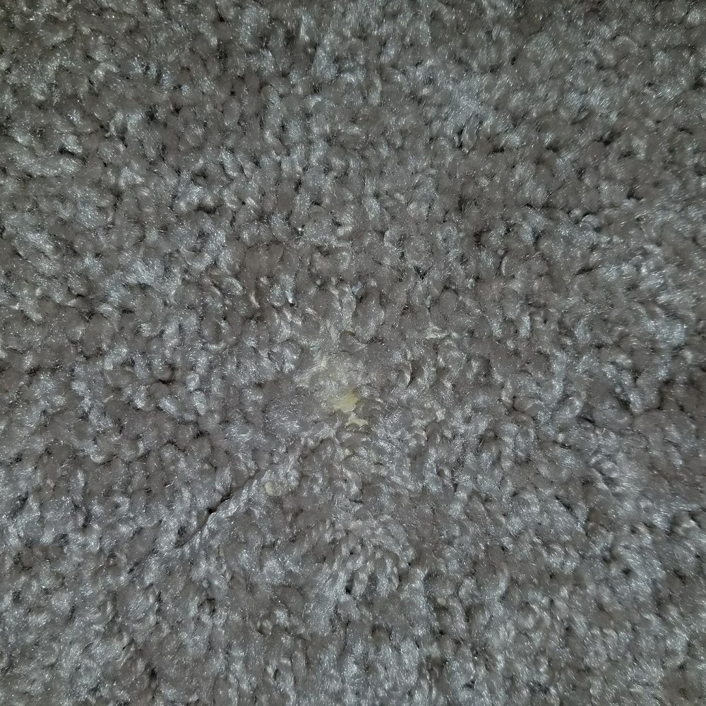 Carpet Factory Outlet - A hole in the rug - Carpeting Near Me - Buffalo, New York Carpet Factory Outlet - A hole in the rug - Carpeting Near Me - Buffalo, New York