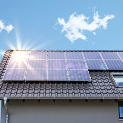 Big Solar Energy Family