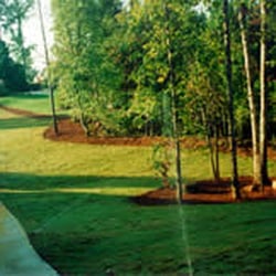 Roy Johnson & Sons Lawn Maintenance