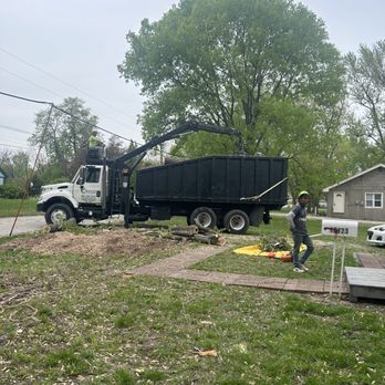 Omar Tree Services - Tree Services Near Me - Kansas City, Missouri Omar Tree Services - Tree Services Near Me - Kansas City, Missouri