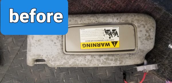 mold remediation - Mold comes in several forms but one thing they all have in common is they need moisture  to grow so if your seeing mold randomly growing on the interior of your vehicle it's possible  there is moisture somewhere in the car most commonly  under the carpet. We find the source  of the moisture correct the sourse and rid your vehicle of mold .