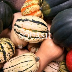 Bushel Crate Farm Market - Squash