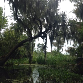 Cajun Style Swamp Tours - Tours Near Me - Marrero, Louisiana Cajun Style Swamp Tours - Tours Near Me - Marrero, Louisiana