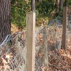 Bryan County Bark Park - Some dogs apparently want to do Escape
