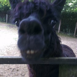 Parc Animalier Etxola - Coucou !