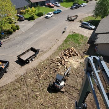 Jake The Tree Guy - Tree Services Near Me Jake The Tree Guy - Tree Services Near Me
