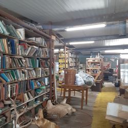 Mason Country Collectibles