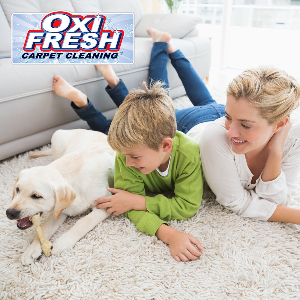 OXI FRESH CARPET CLEANING Updated October 2024 27 Photos & 23