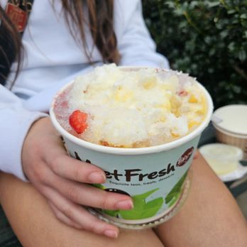 Meet Fresh - Desserts Near Me - Orlando, Florida Meet Fresh - Desserts Near Me - Orlando, Florida