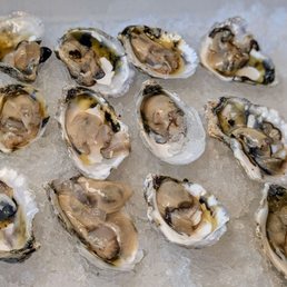 Oysters