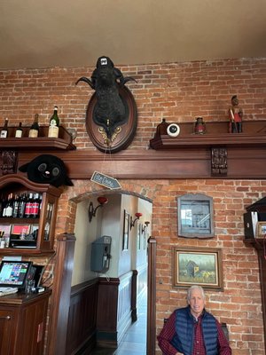 Black Sheep Bar & Grill by null
