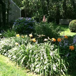 Mccormick's Cape Cod Cottages - Lush grounds, lots of flowers