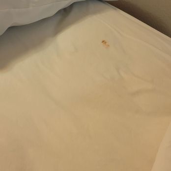 Motel 6 - Someone else's stain. - Hotels Near Me - Benson, Arizona