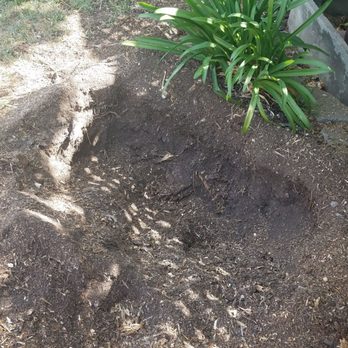 Tom 4 Stumps - After the job was done - Tree Services Near Me - San Jose, California Tom 4 Stumps - After the job was done - Tree Services Near Me - San Jose, California