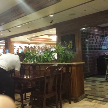 Yank Sing - Chinese Near Me - Killeen, Texas Yank Sing - Chinese Near Me - Killeen, Texas