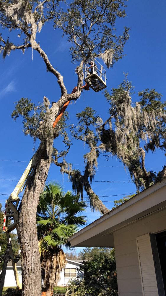 BARK CUTTERS TREE SERVICE Updated September 2024 12 Photos Lake