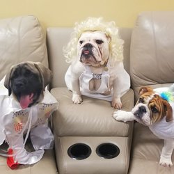Warwick Trading Company - WTC Halloween