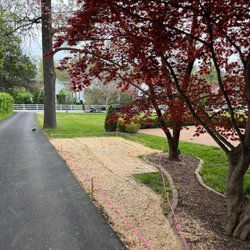 JE Lawn