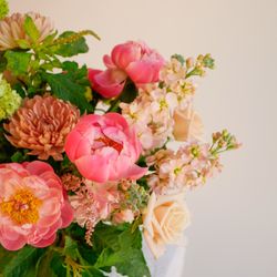 Anthony's Flowers - Close up of "Peony Charm"