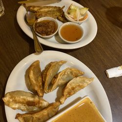 Thai and Thai - Pot Sticker Chicken Satay