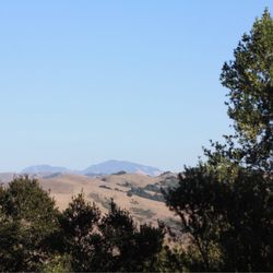 Sobrante Ridge Regional Preserve - View of Mt. Diablo