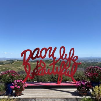 DAOU Vineyards - Wineries Near Me - Paso Robles, California DAOU Vineyards - Wineries Near Me - Paso Robles, California