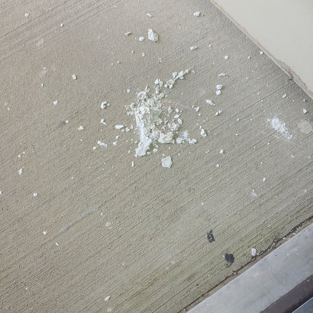 SYNC at Nobu Station - Plaster from repair after it rained. - Apartments Near Me - San Antonio, Texas SYNC at Nobu Station - Plaster from repair after it rained. - Apartments Near Me - San Antonio, Texas