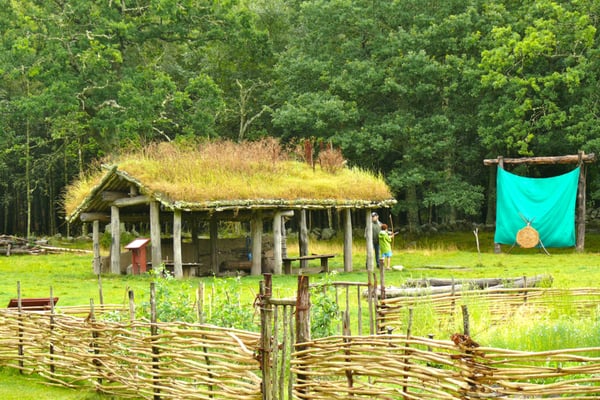 Vitlycke Museum by null