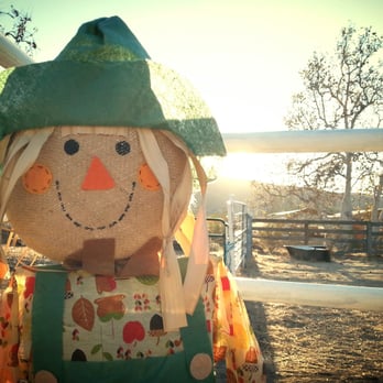 Joan's Farm & Pumpkin Patch - Scarecrow and pumpkins! - Pumpkin Patches Near Me - Livermore, California