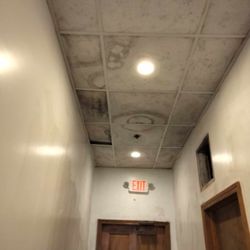China Super Buffet - Moldy Ceiling