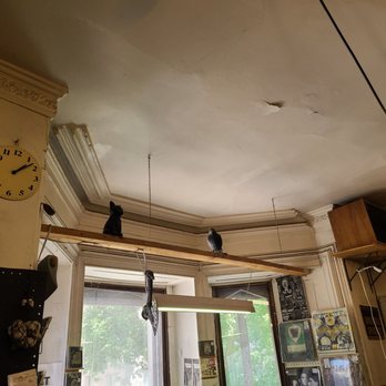 Cheap Thrills - Bookstores Near Me - Montreal, Quebec Cheap Thrills - Bookstores Near Me - Montreal, Quebec