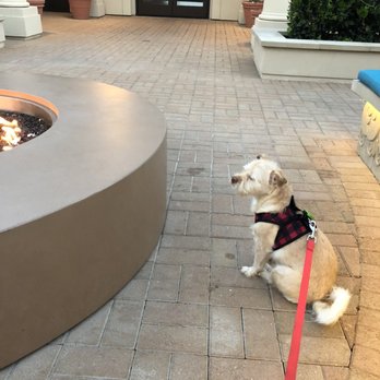 Westview at Irvine Spectrum - Apartments Near Me - Irvine, California