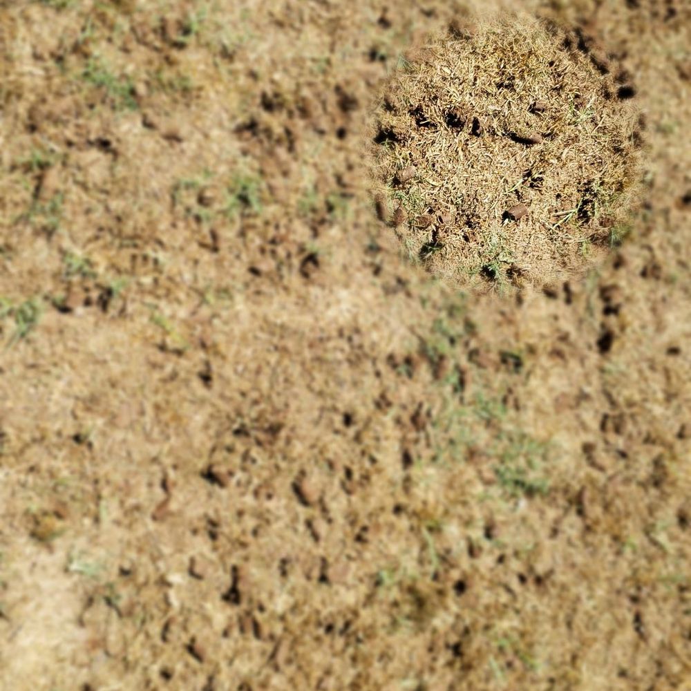 A1 Lawn Aeration - Aeration plugs - Lawn Services Near Me A1 Lawn Aeration - Aeration plugs - Lawn Services Near Me