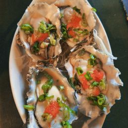 Oysters Oysters